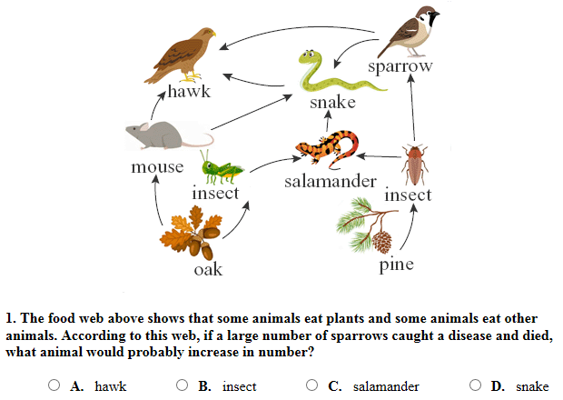 Science - Beestar.org